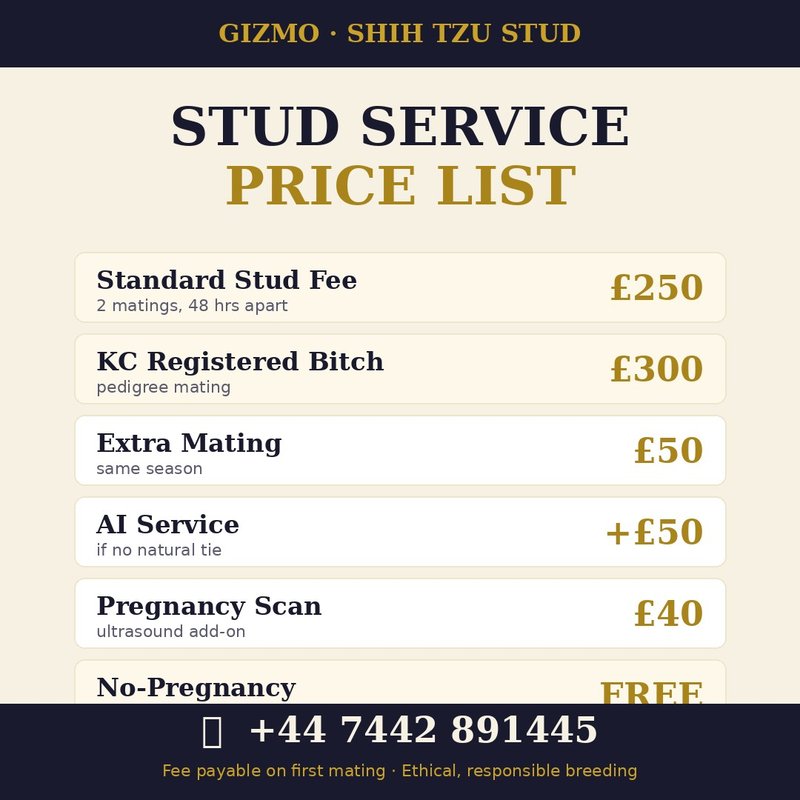 Gizmo pricing card