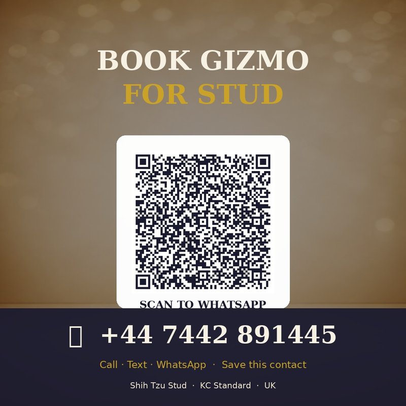 Book Gizmo today